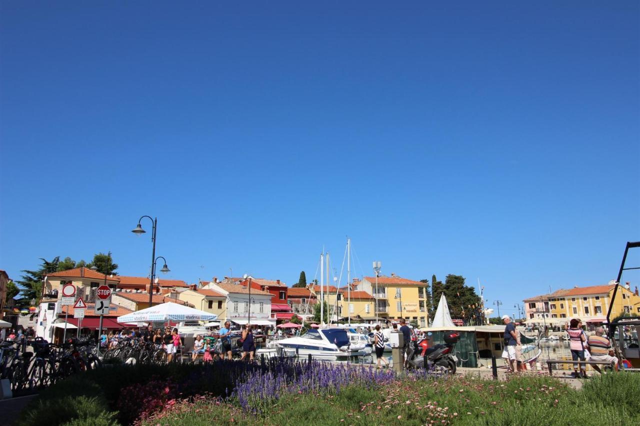 Gianna N2, 600 M From The Beach Novigrad Istria المظهر الخارجي الصورة