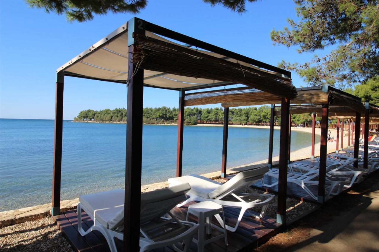 Gianna N2, 600 M From The Beach Novigrad Istria المظهر الخارجي الصورة