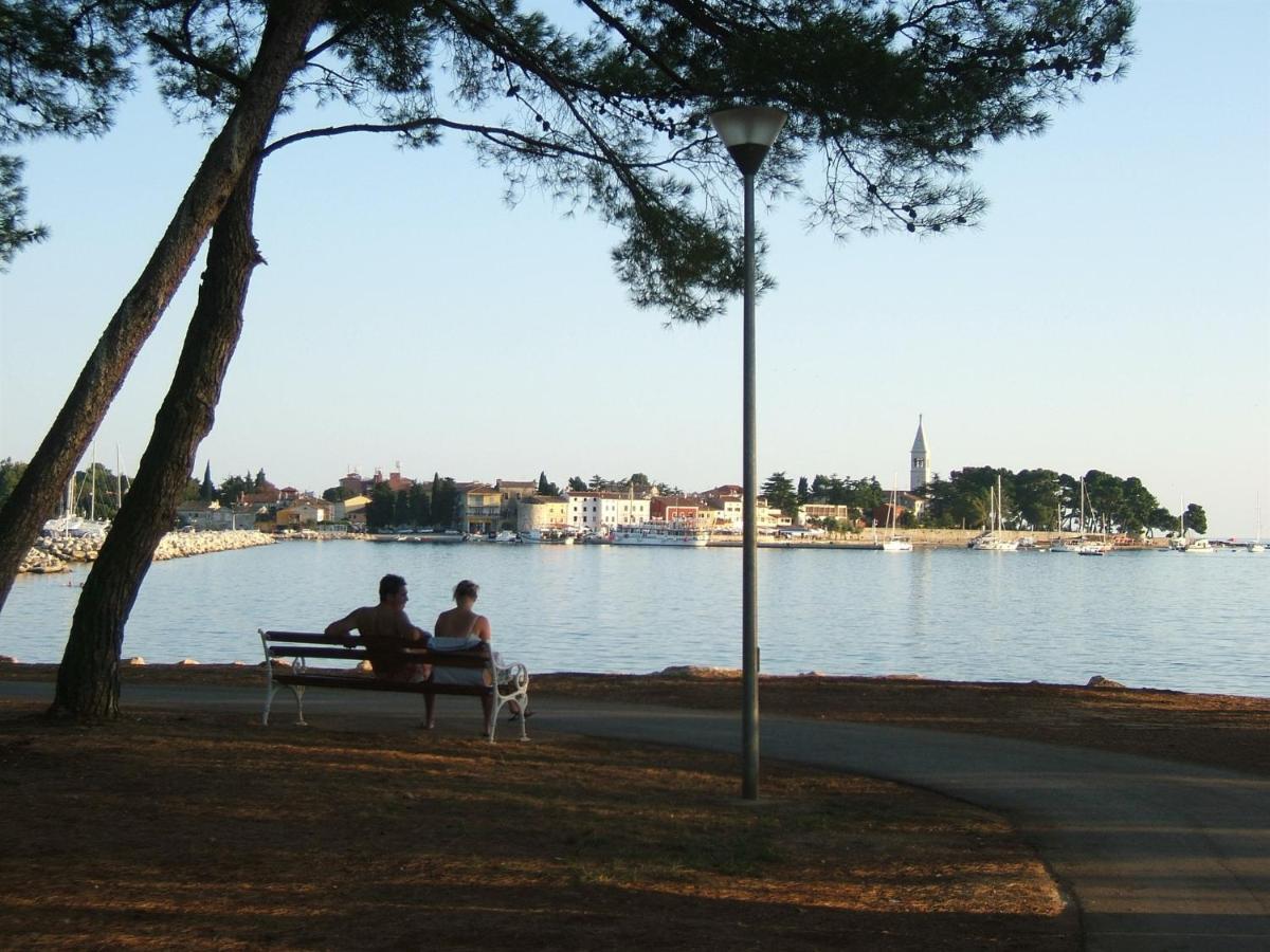 Gianna N2, 600 M From The Beach Novigrad Istria المظهر الخارجي الصورة