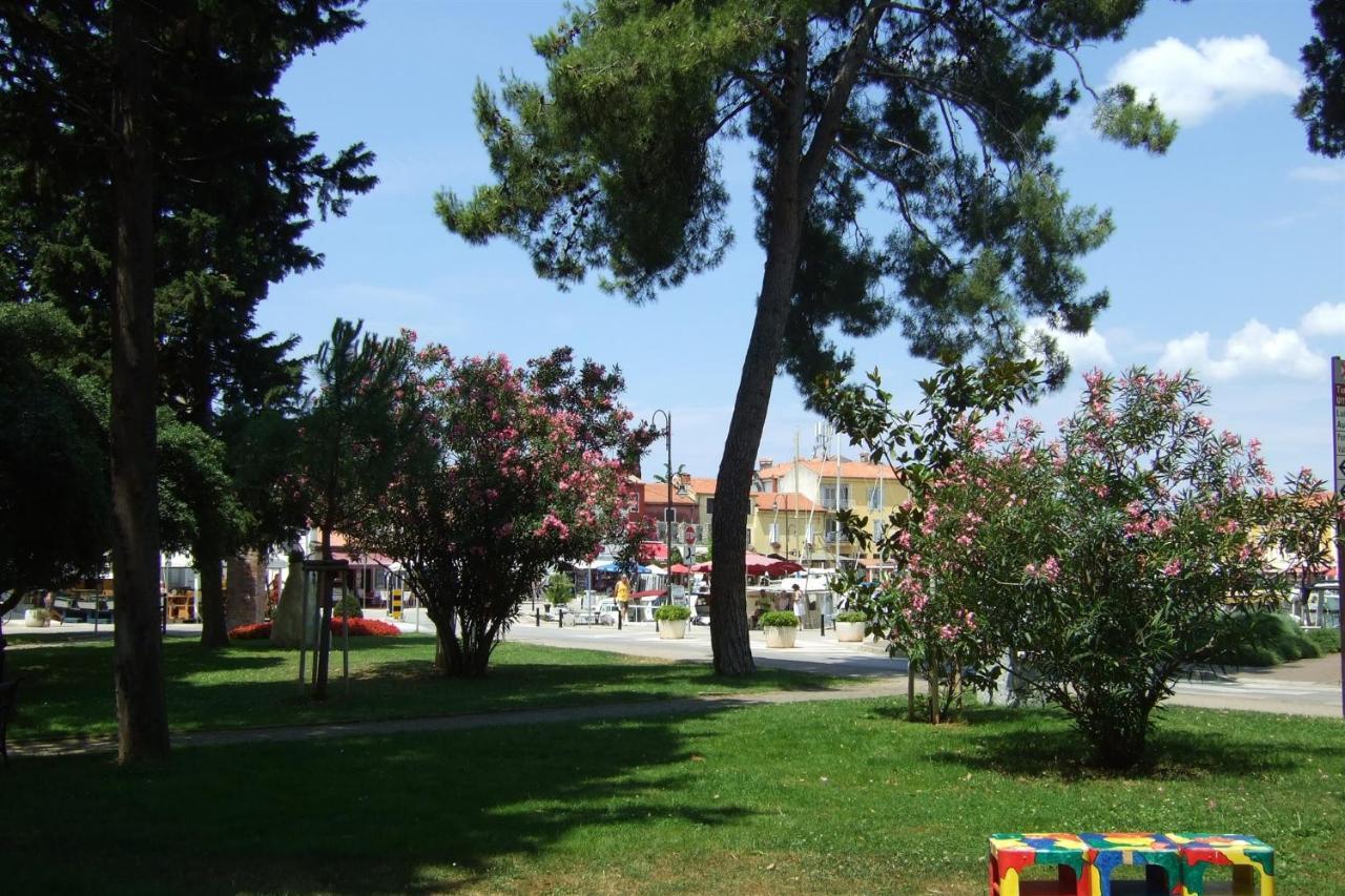 Gianna N2, 600 M From The Beach Novigrad Istria المظهر الخارجي الصورة
