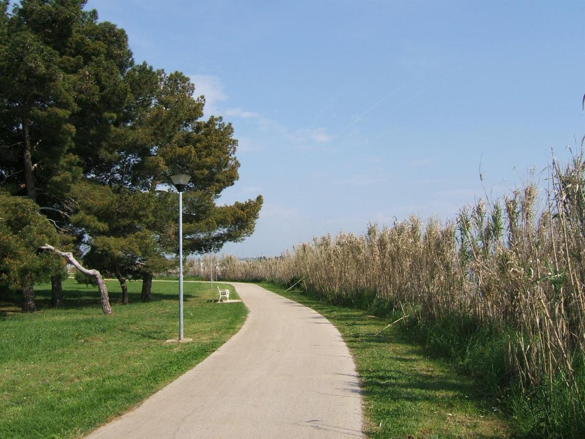 Gianna N2, 600 M From The Beach Novigrad Istria المظهر الخارجي الصورة